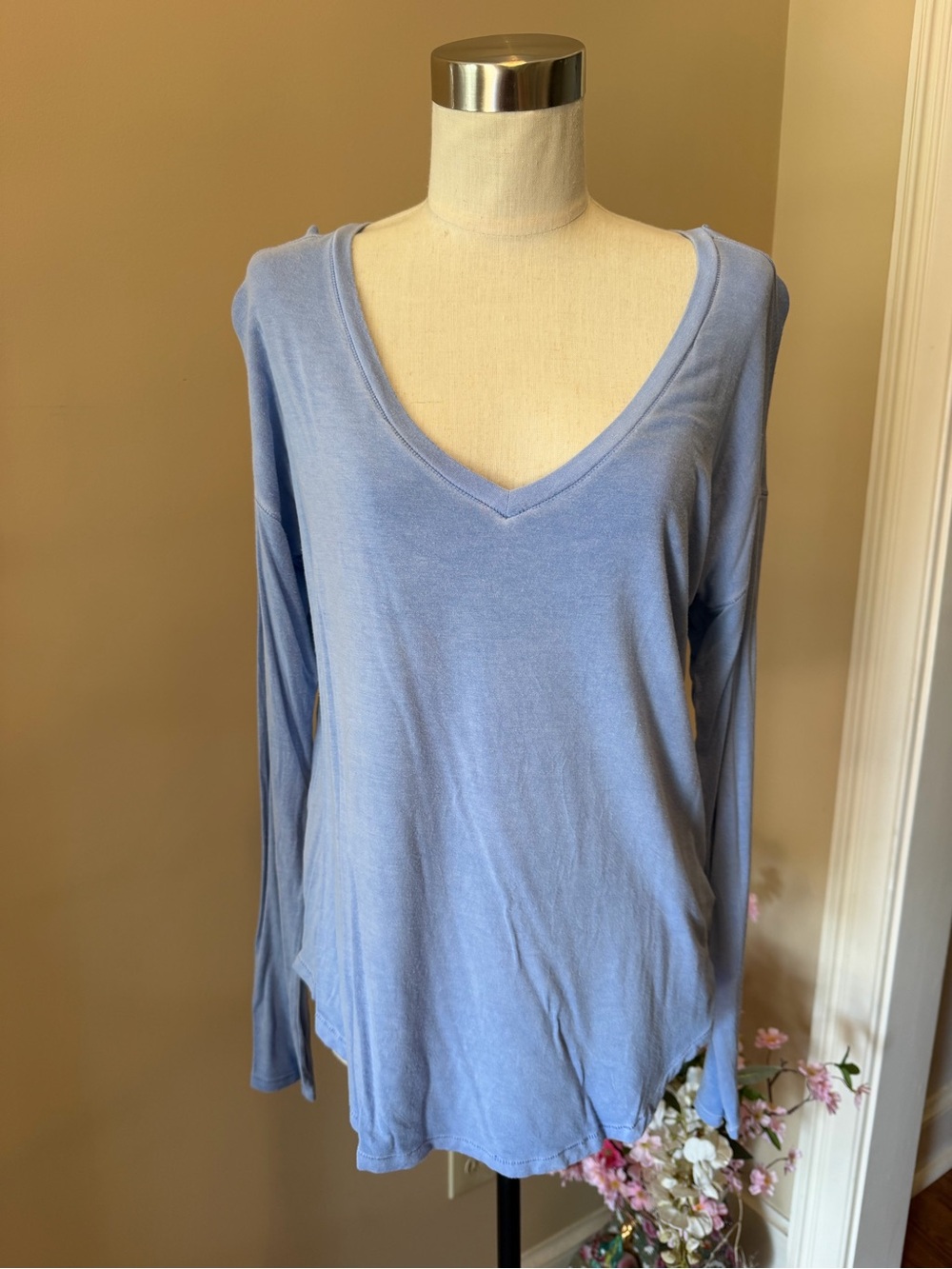 American Eagle Outfitters Soft & Sexy Pale Blue V-Neck Long Sleeve Top